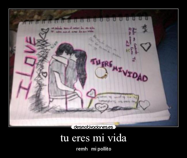 carteles vida amo pollito desmotivaciones