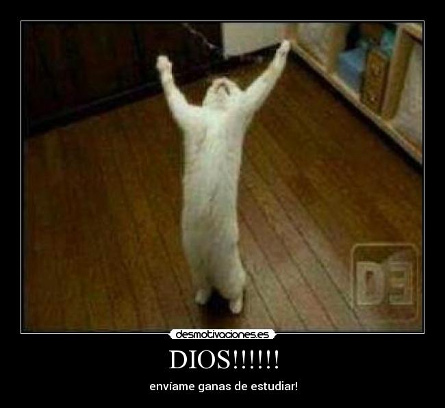 DIOS!!!!!! - envíame ganas de estudiar!