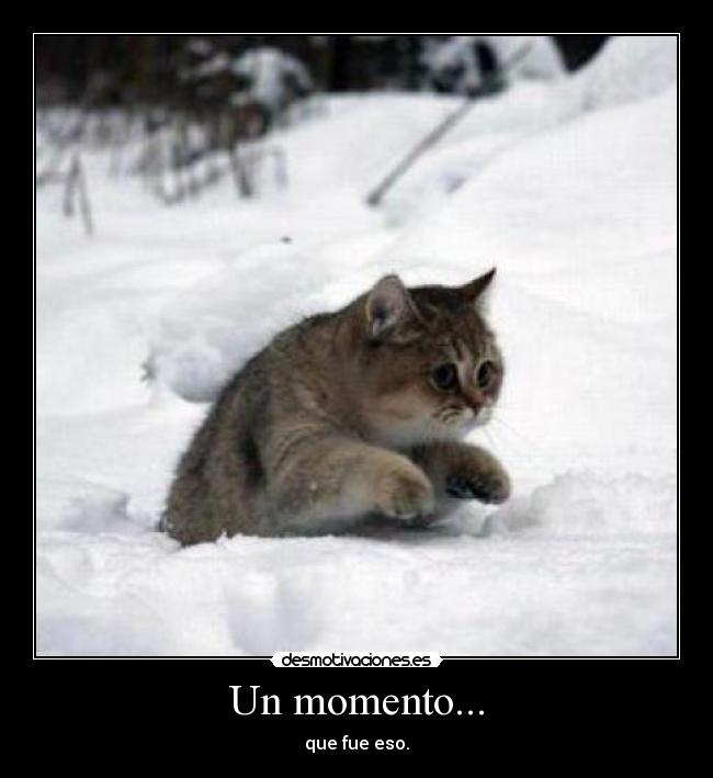 Un momento... - que fue eso.