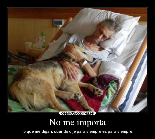 No me importa -