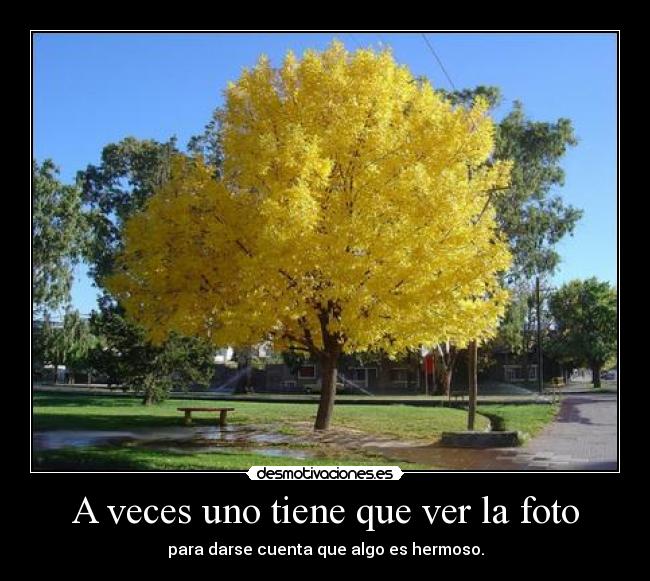 A veces uno tiene que ver la foto - para darse cuenta que algo es hermoso.