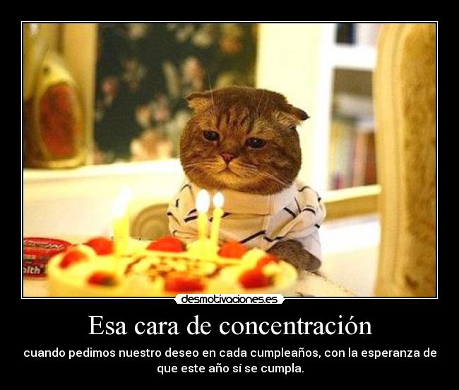 Esa cara de concentración -