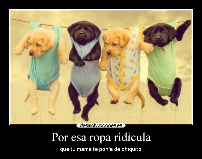 Por esa ropa ridicula - que tu mama te ponía de chiquito.