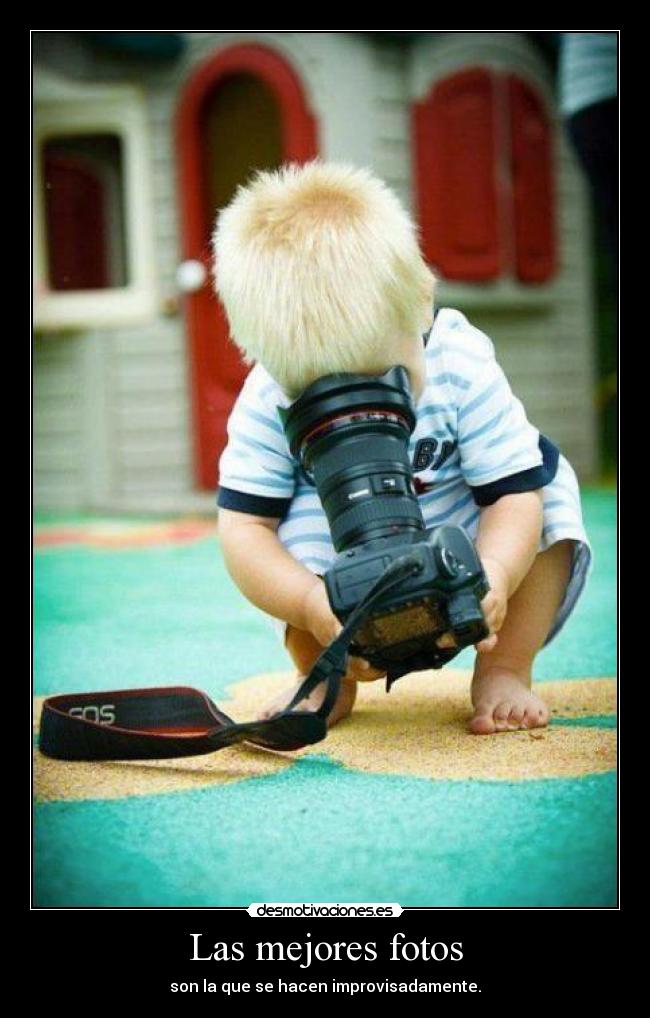 Las mejores fotos -