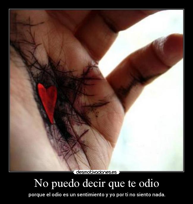 No puedo decir que te odio -