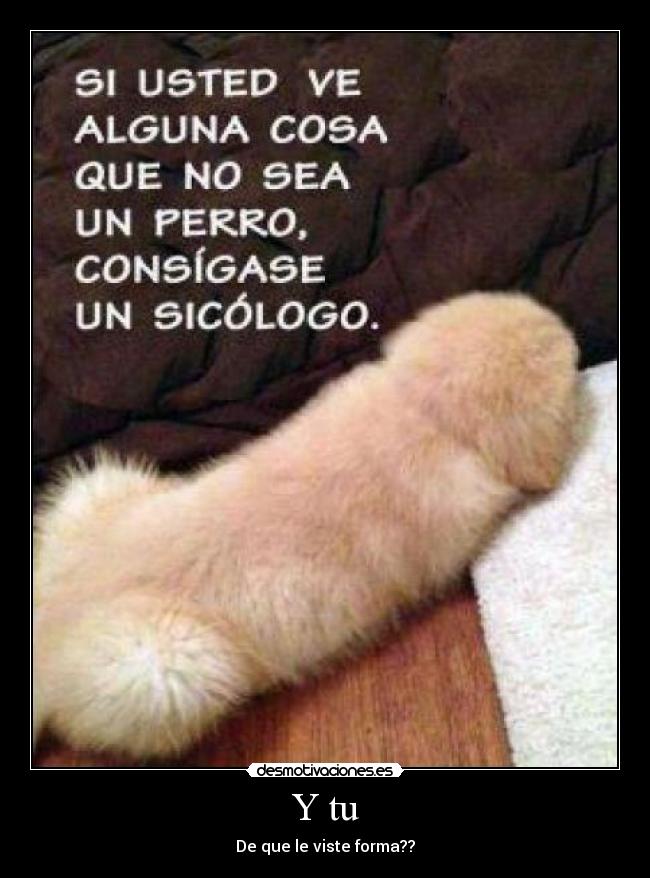 Y tu - De que le viste forma??