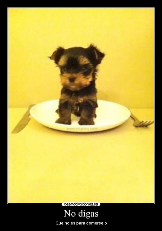 No digas - Que no es para comerselo