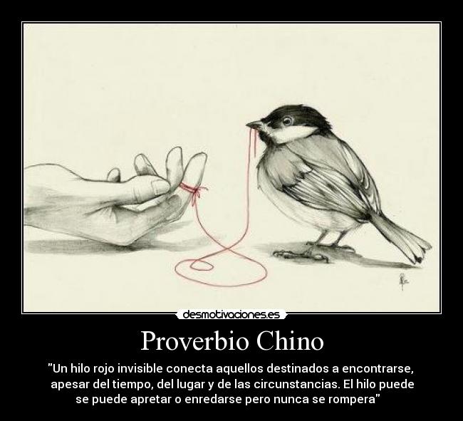 carteles proverbio chino desmotivaciones