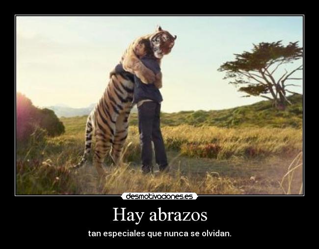 Hay abrazos -