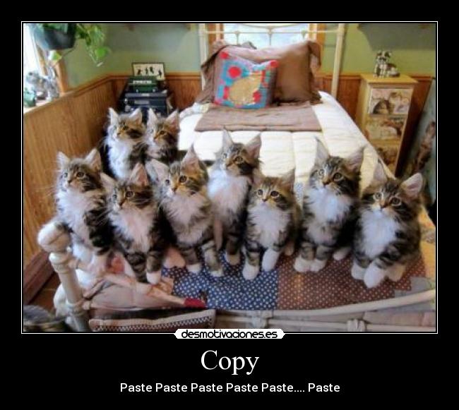 Copy -