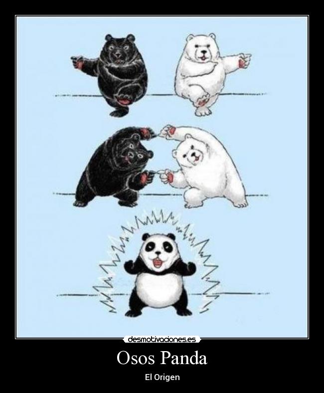 Osos Panda - El Origen