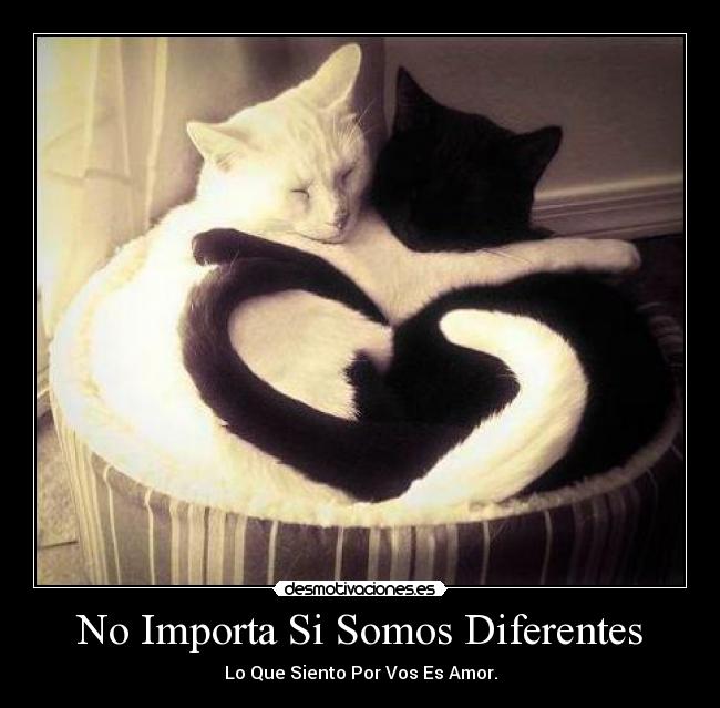 No Importa Si Somos Diferentes -