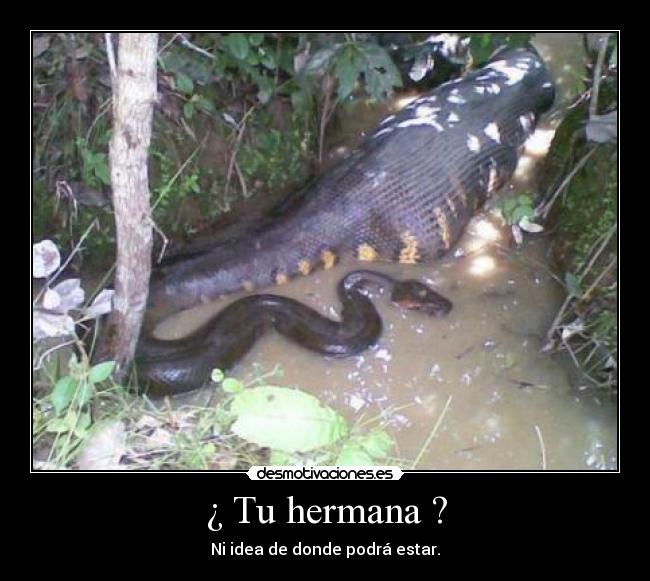 ¿ Tu hermana ? -