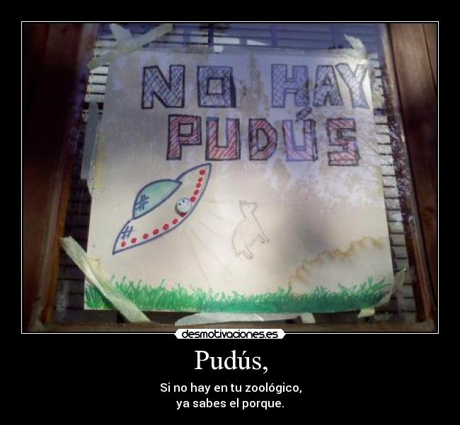 Pudús, - Si no hay en tu zoológico,
ya sabes el porque.