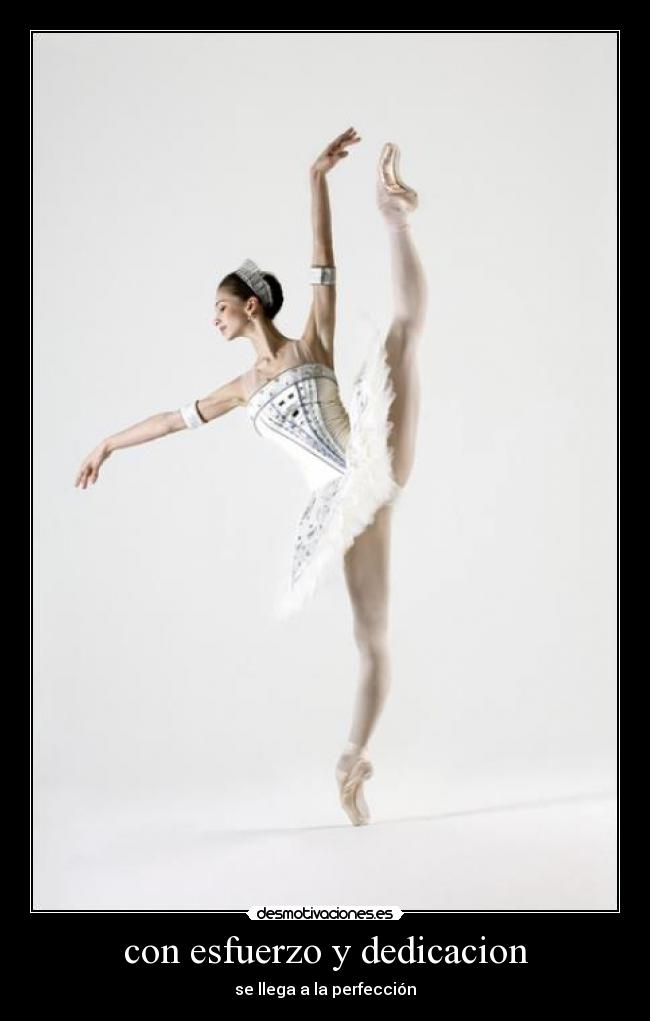 con esfuerzo y dedicacion - 