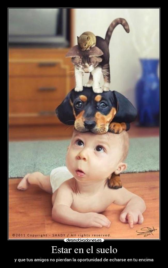 carteles 510oskar desmotivaciones