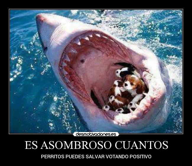 ES ASOMBROSO CUANTOS - PERRITOS PUEDES SALVAR VOTANDO POSITIVO