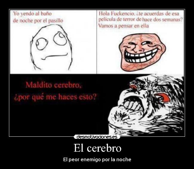 El cerebro - 