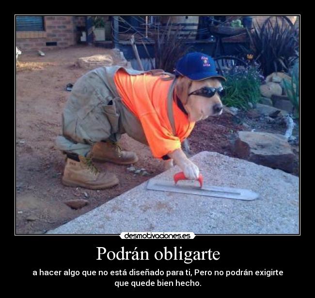 Podrán obligarte -