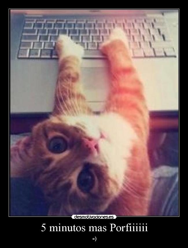 5 minutos mas Porfiiiiii - 