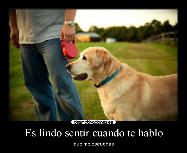 Es lindo sentir cuando te hablo -