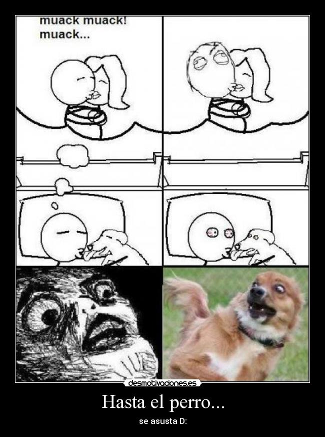 Hasta el perro... - se asusta D: