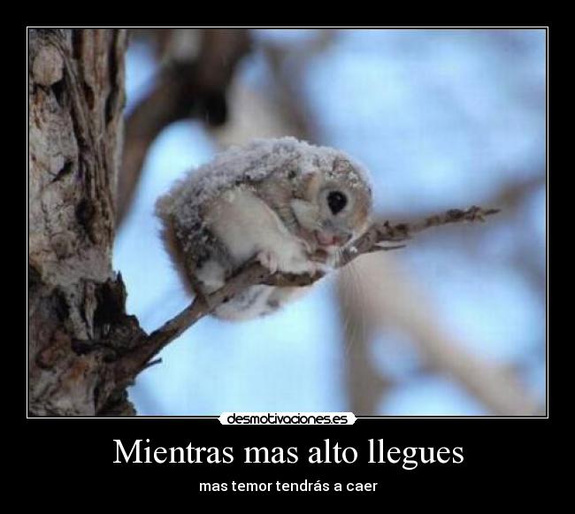 Mientras mas alto llegues - 