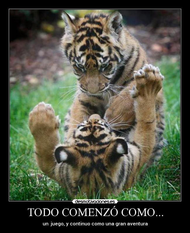 carteles tigres todo comenzo como juego continuo como una gran aventura desmotivaciones