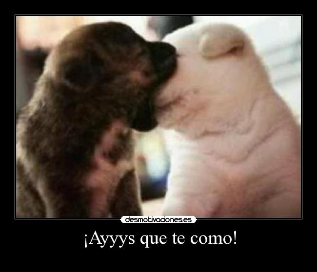 ¡Ayyys que te como! -