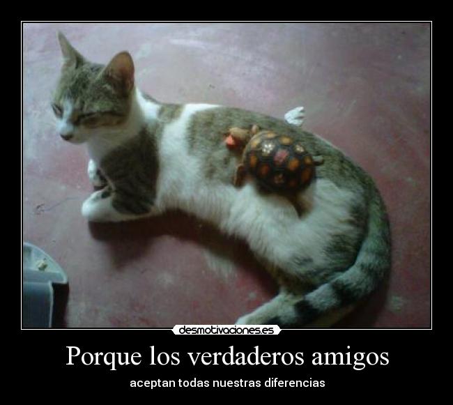 Porque los verdaderos amigos -