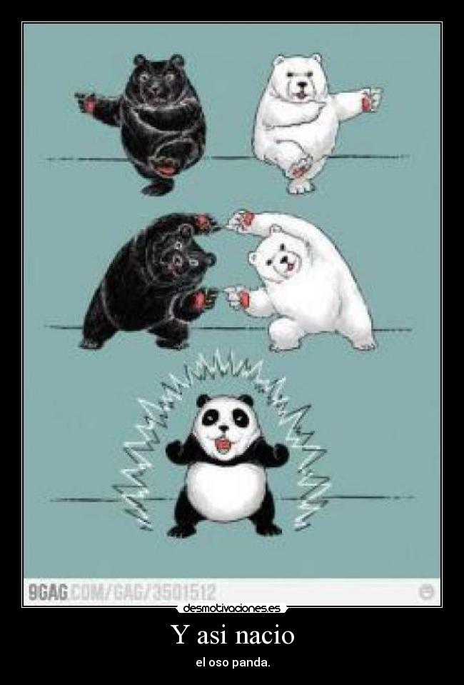 Y asi nacio - el oso panda.