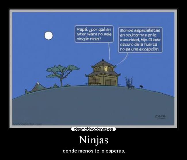 Ninjas -