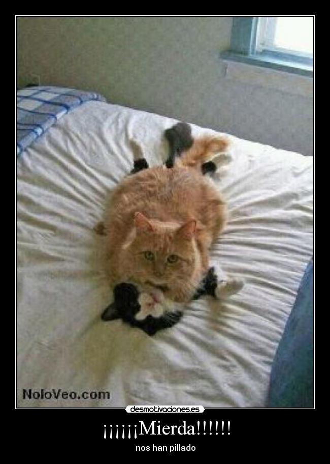 ¡¡¡¡¡¡Mierda!!!!!! - nos han pillado