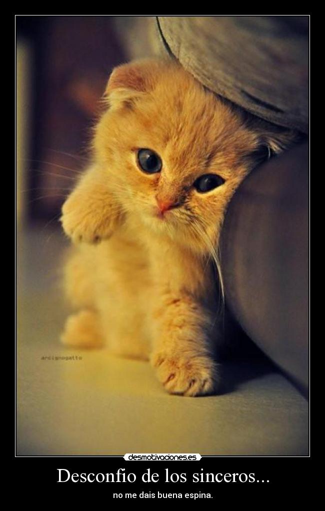 Desconfio de los sinceros... - no me dais buena espina.