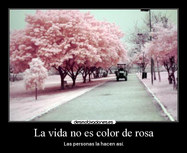 La vida no es color de rosa - 