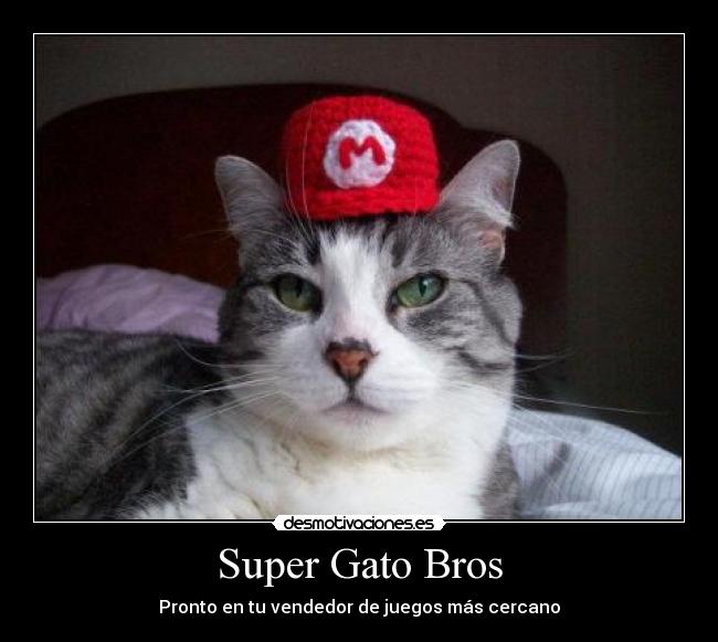 Super Gato Bros -