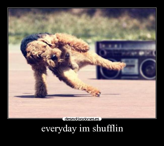 everyday im shufflin -