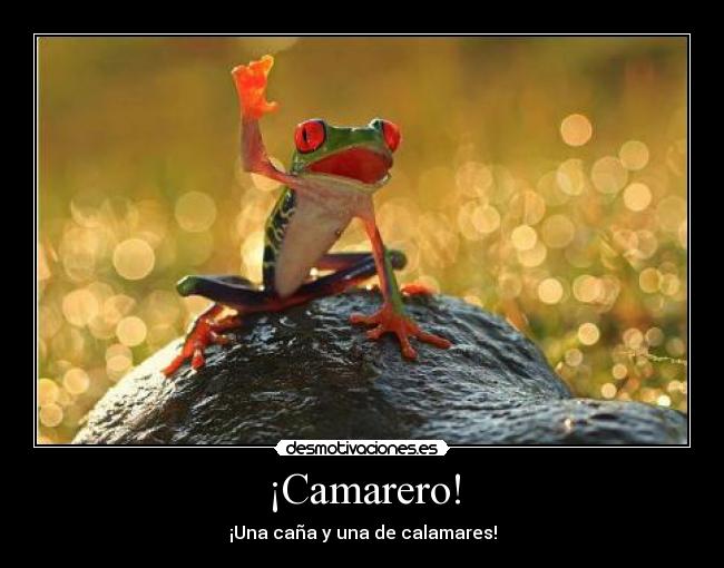 ¡Camarero! -