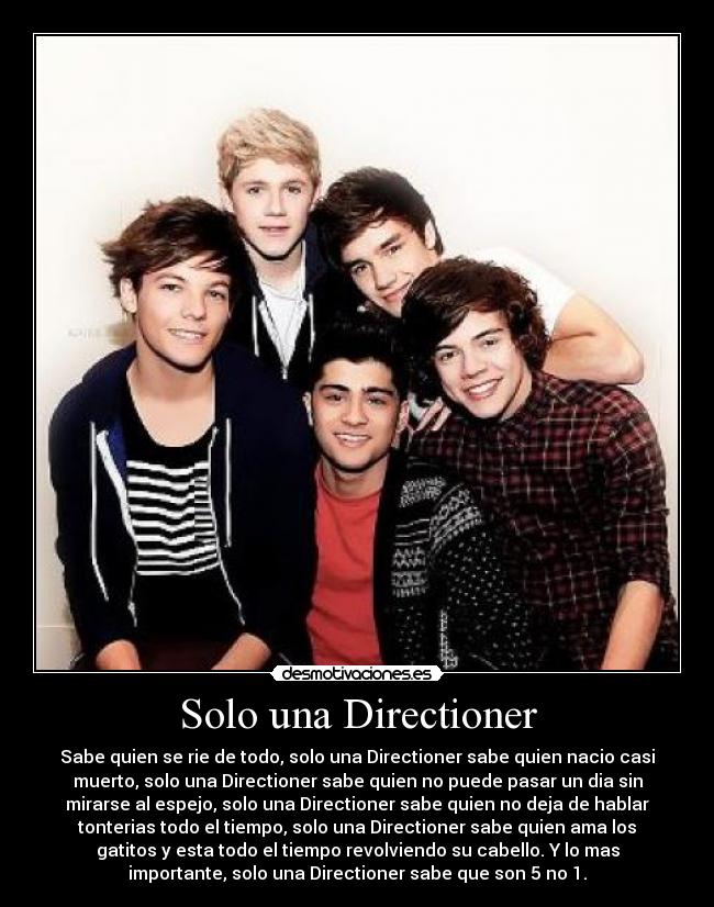 Solo una Directioner - Sabe quien se rie de todo, solo una Directioner sabe quien nacio casi
muerto, solo una Directioner sabe quien no puede pasar un dia sin
mirarse al espejo, solo una Directioner sabe quien no deja de hablar
tonterias todo el tiempo, solo una Directioner sabe quien ama los
gatitos y esta todo el tiempo revolviendo su cabello. Y lo mas
importante, solo una Directioner sabe que son 5 no 1.