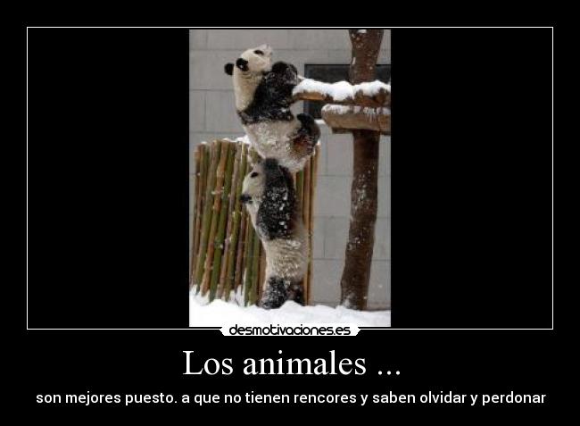 Los animales ... - son mejores puesto. a que no tienen rencores y saben olvidar y perdonar