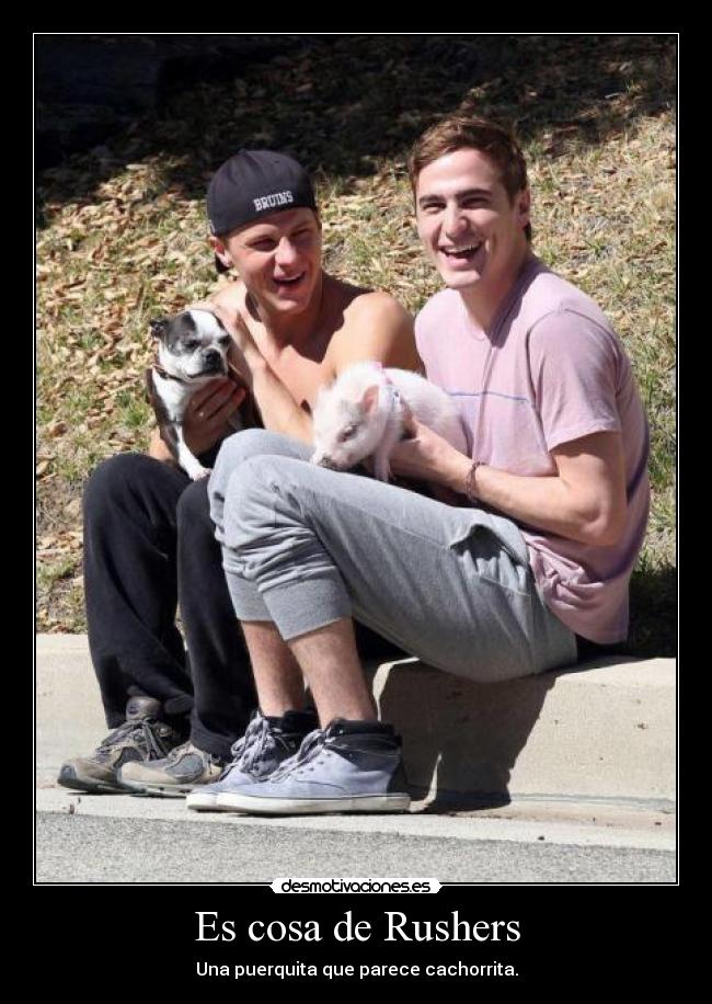 Es cosa de Rushers - Una puerquita que parece cachorrita.