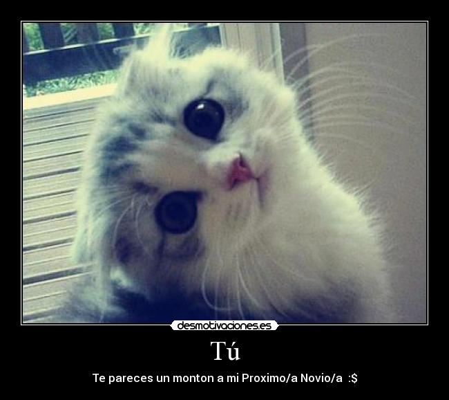 Tú - Te pareces un monton a mi Proximo/a Novio/a :$