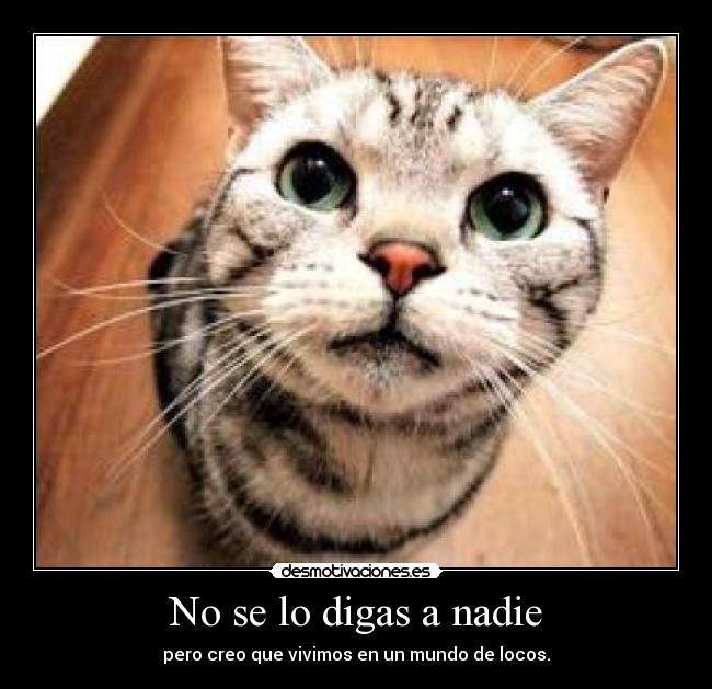 No se lo digas a nadie - pero creo que vivimos en un mundo de locos.