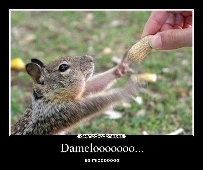 Damelooooooo... - es miooooooo