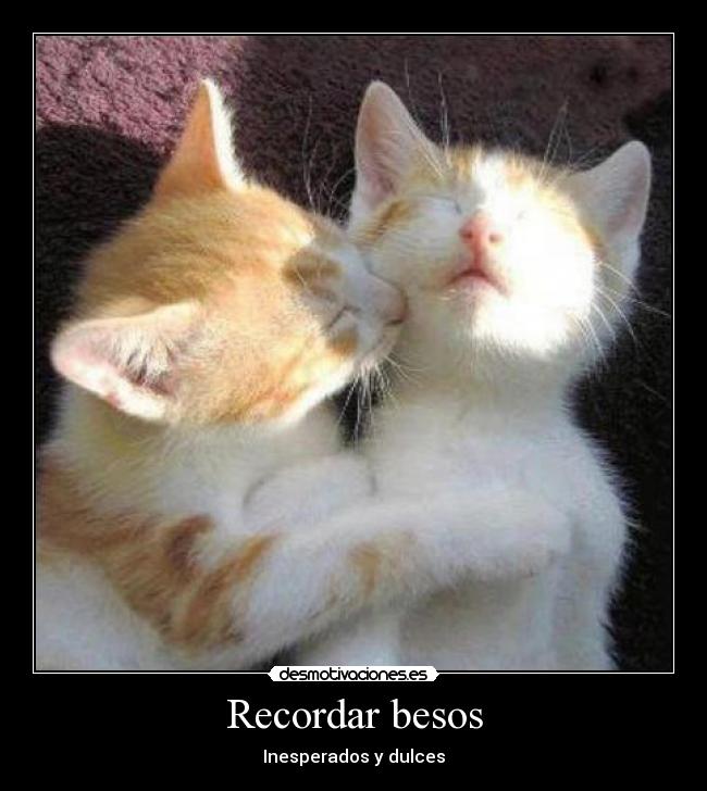 Recordar besos - 