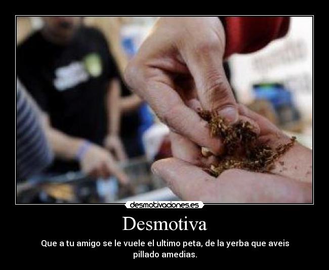 Desmotiva - Que a tu amigo se le vuele el ultimo peta, de la yerba que aveis pillado amedias.