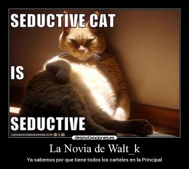 La Novia de Walt_k - 