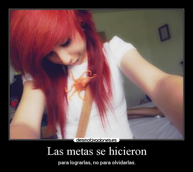 Las metas se hicieron - 