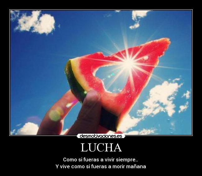 LUCHA - 