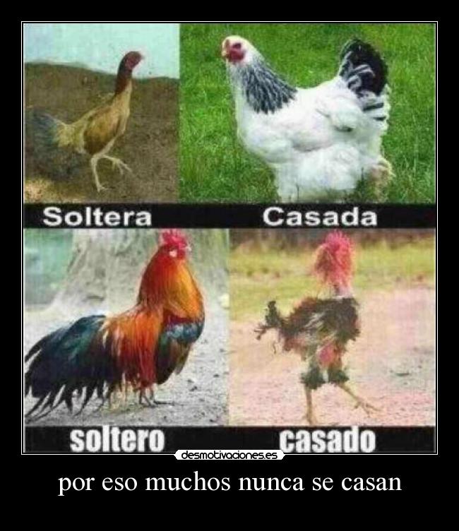por eso muchos nunca se casan -